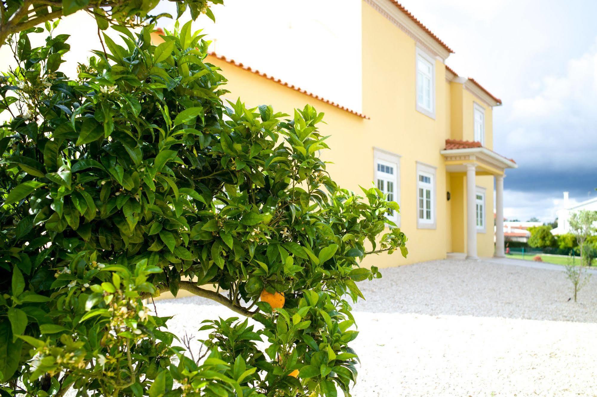 Nadadouro 카사 페드라 노브리 B&B 외부 사진